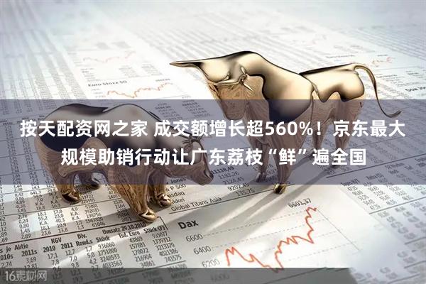 按天配资网之家 成交额增长超560%！京东最大规模助销行动让广东荔枝“鲜”遍全国