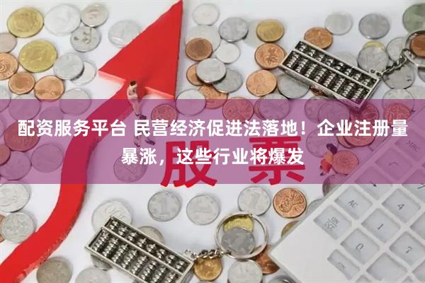 配资服务平台 民营经济促进法落地！企业注册量暴涨，这些行业将爆发