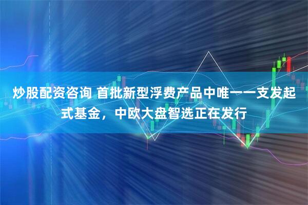 炒股配资咨询 首批新型浮费产品中唯一一支发起式基金，中欧大盘智选正在发行